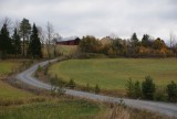 DSC02535