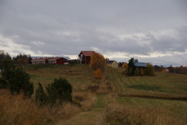 DSC02816
