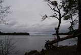 DSC02854