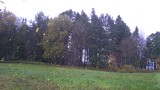 IMAG8405
