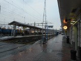 DSCN1382
