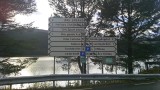IMAG8446