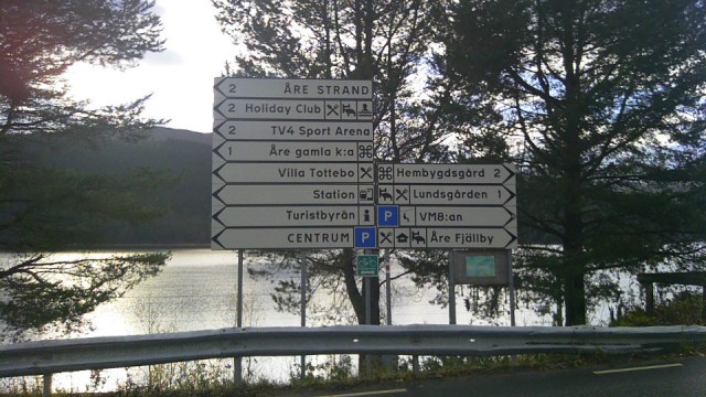 IMAG8446