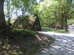 IMG_20160512_122132
