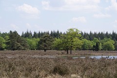 DSC05822