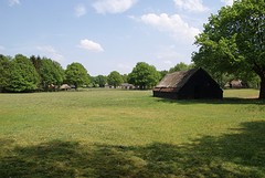 DSC05767