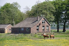 DSC05658