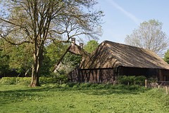 DSC05560