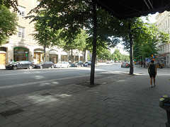 DSCN1954