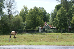 DSC06506