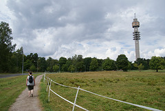 DSC06507