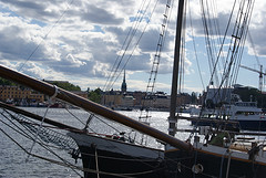 DSC06956