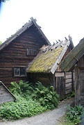 DSC07387