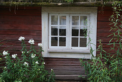 DSC07390
