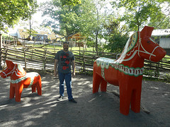 DSCN2033