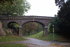 DSC07855