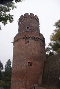 DSC07893