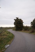 DSC08037