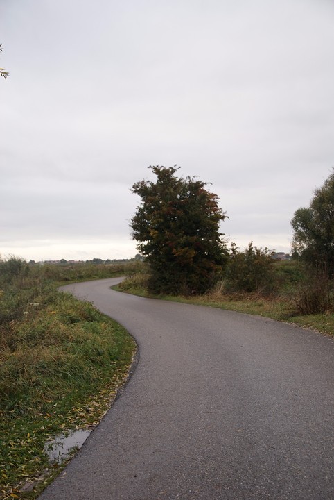 DSC08037