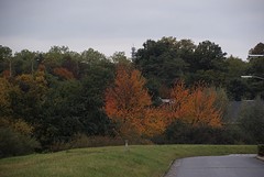DSC08068