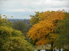 DSCN2468