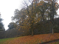 DSCN2584