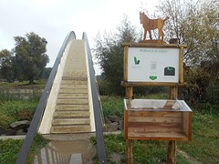 DSCN2654