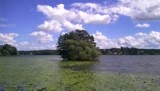 Sigtuna
