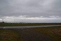 DSC08569