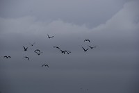 DSC08595