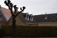 DSC08601