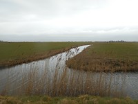 DSCN2968