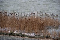 DSC08618