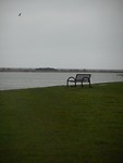 DSCN2992