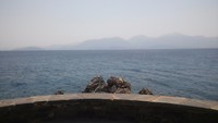 20170806_112715