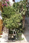 DSC09146
