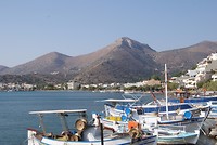 DSC09203