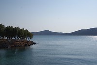 DSC09217