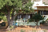 DSC09250