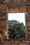 DSC09388