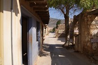 DSC09391