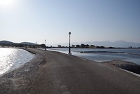 DSC09775