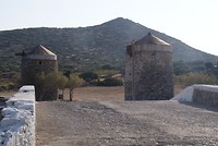 DSC09782