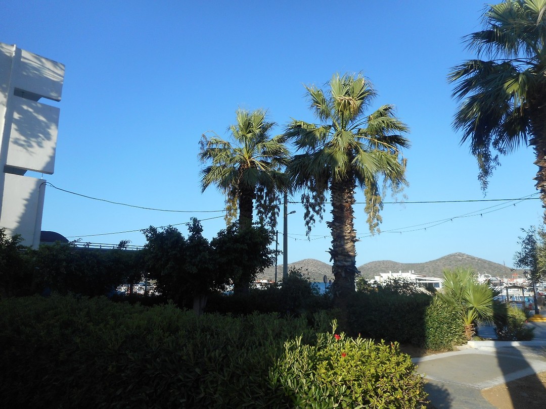 Haven Elounda (3)