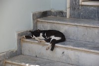 DSC00041