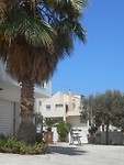 DSCN4188