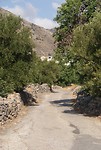 DSC00075