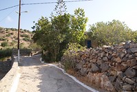 DSC00113