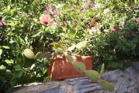 DSC00138