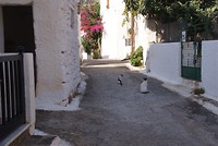 DSC00142
